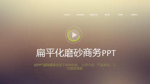 工作英文总结PPT模板 (19)