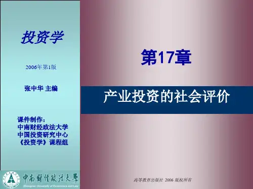 第17章 产业投资的社会评价