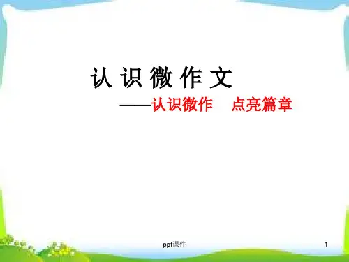 微写作指导.  ppt课件