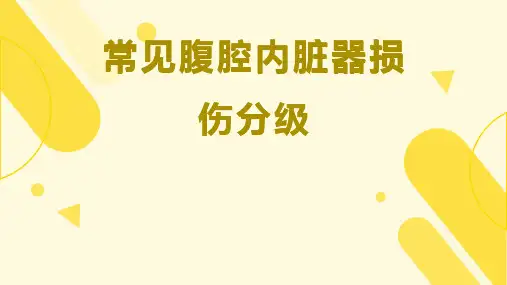 常见腹腔内脏器损伤分级概述