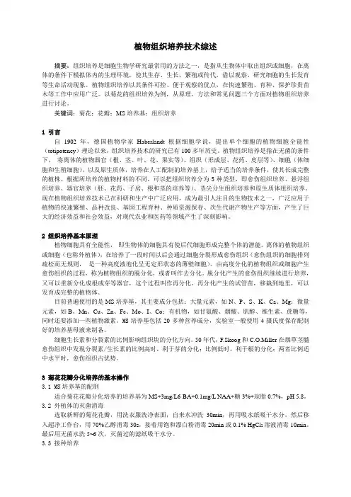 植物组织培养综述