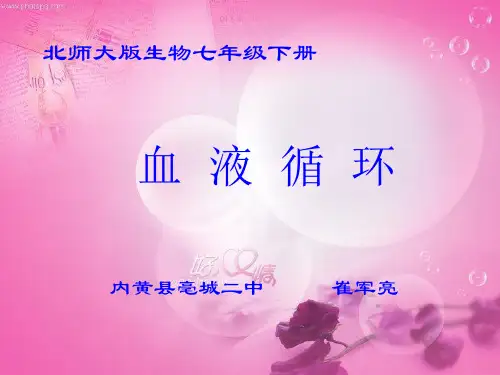 北师大版生物七下9.1《血液》课件(共23张PPT)
