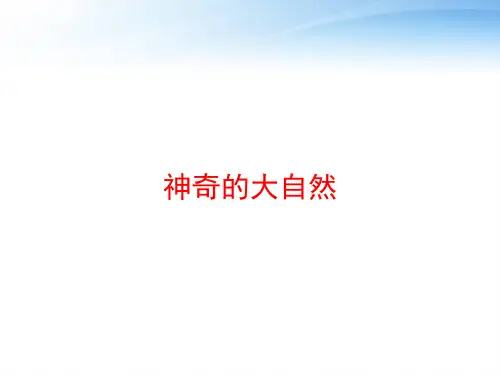 神奇的大自然 ppt课件