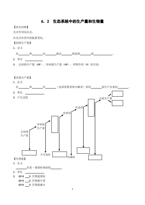 第二节生态系统中的生产量和生物量