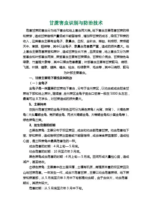 甘蔗害虫与防治