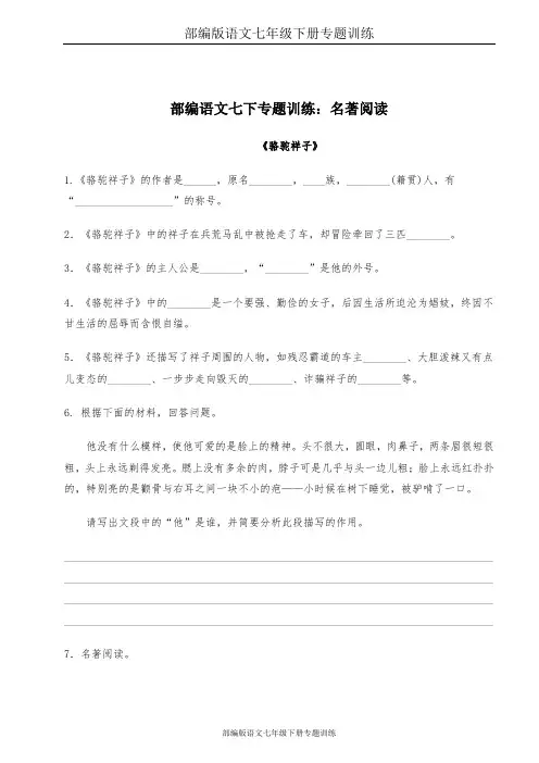 部编版语文七年级下册专题训练：名著阅读
