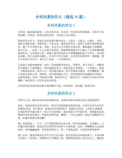 乡村风景的作文(精选16篇)
