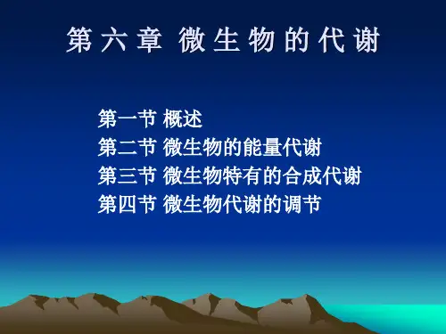 第六章 微生物的代谢