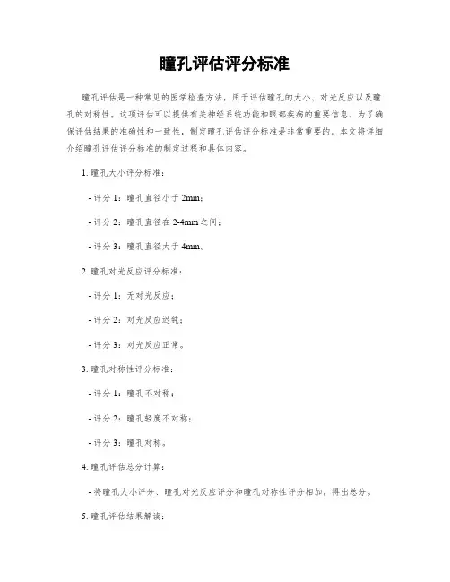 瞳孔评估评分标准