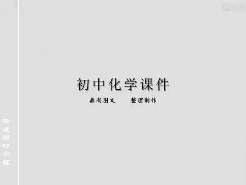 沪教版九年级上册化学第二节定量认识化学变化.pptx