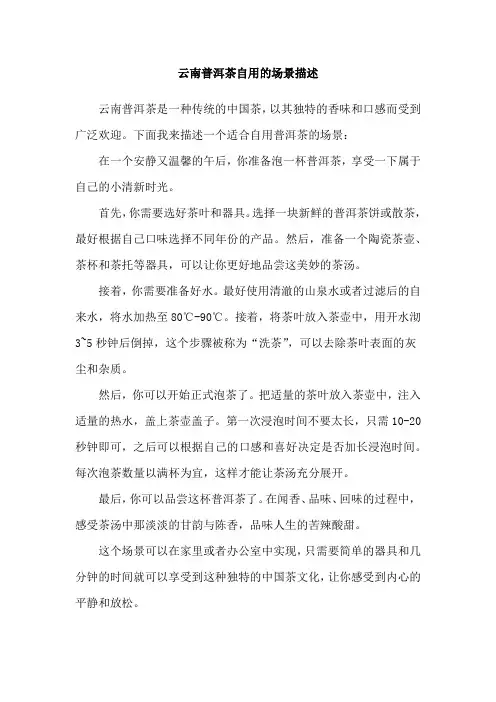 云南普洱茶自用的场景描述