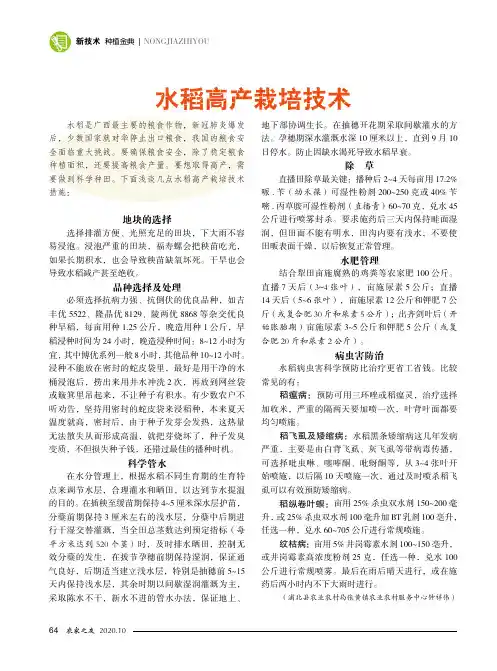 水稻高产栽培技术