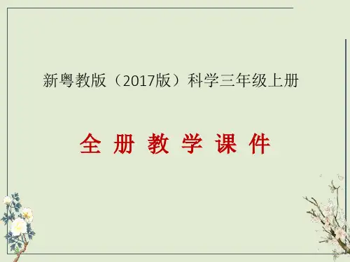 新粤教版(2017版)三年级上册科学教学课件