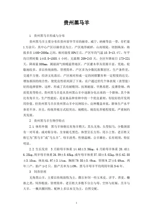 贵州黑马羊
