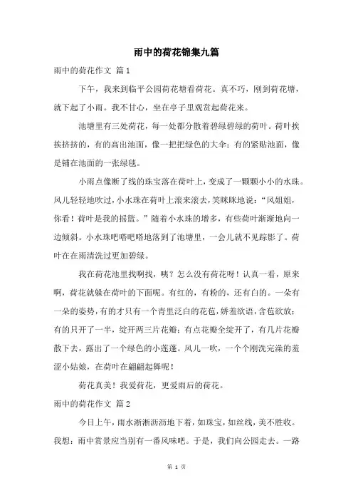雨中的荷花锦集九篇