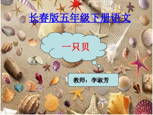 一只贝