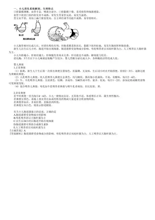 医学课件-主管护师-第01讲 小儿消化系统解剖生理特点