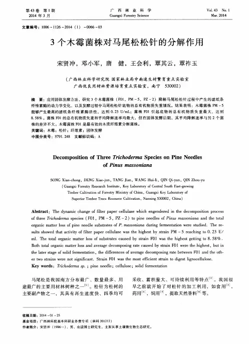 3个木霉菌株对马尾松松针的分解作用
