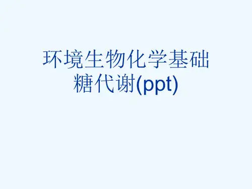 环境生物化学基础糖代谢(ppt)