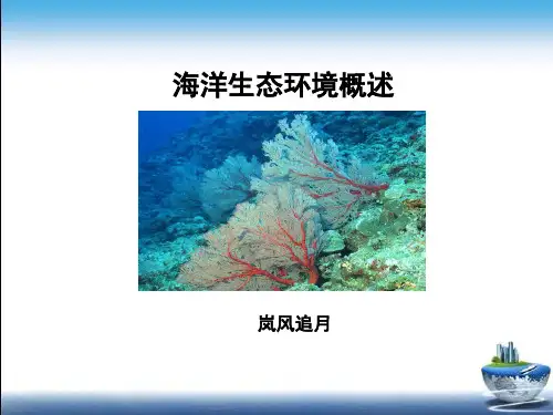 海洋生态环境概述PPT(共 37张)