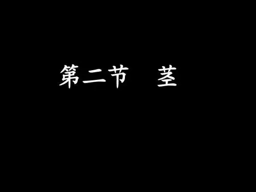 药用植物学-茎-1