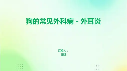 狗的常见外科病-外耳炎