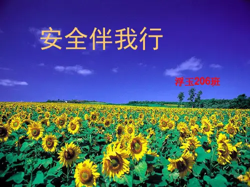 一年级《安全伴我行》主题班会ppt