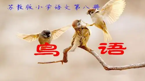 小学语文四年级下册《15鸟语》PPT课件 (4)