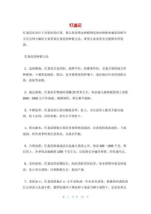 灯盏花_精品文档