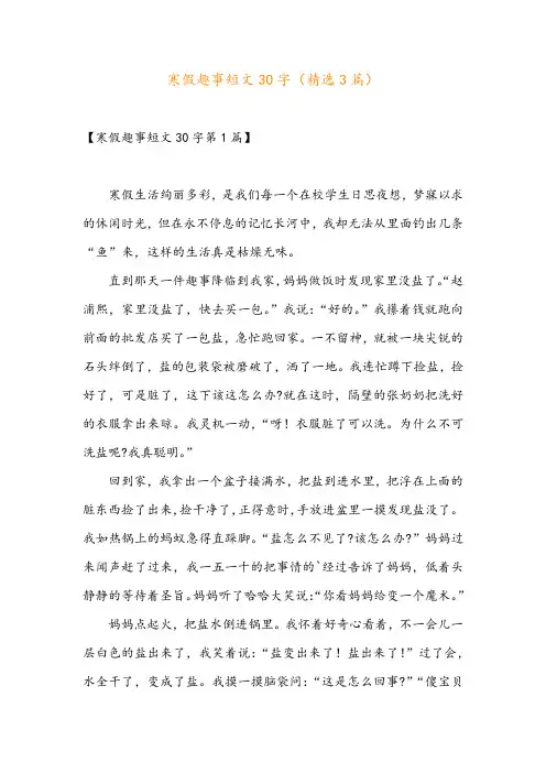 寒假趣事短文30字(精选3篇)