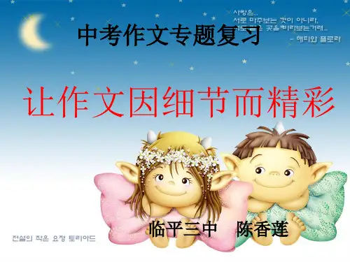 中考作文专题复习