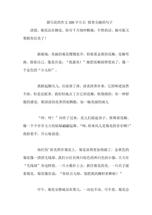 描写花的作文500字左右 情景交融的句子