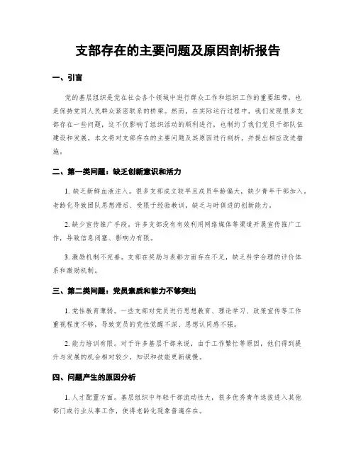 支部存在的主要问题及原因剖析报告