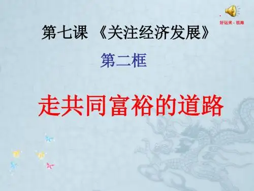 九年级政治 第七课第二框走向共同富裕的道路课件 人教新课标版