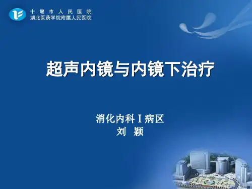 超声内镜与内镜下治疗PPT参考幻灯片