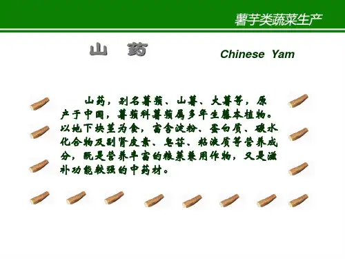 子项目一山药最新PPT课件