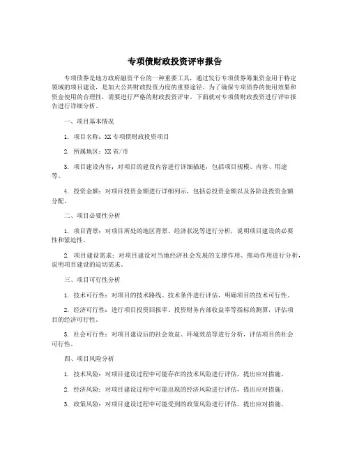 专项债财政投资评审报告