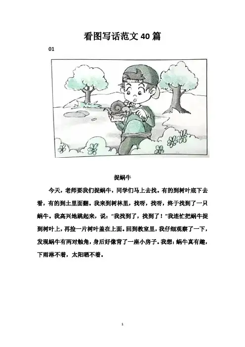 小学一二年纪看图写话范文40篇