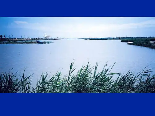 某房地产项目整合传播策略案(ppt 115页)