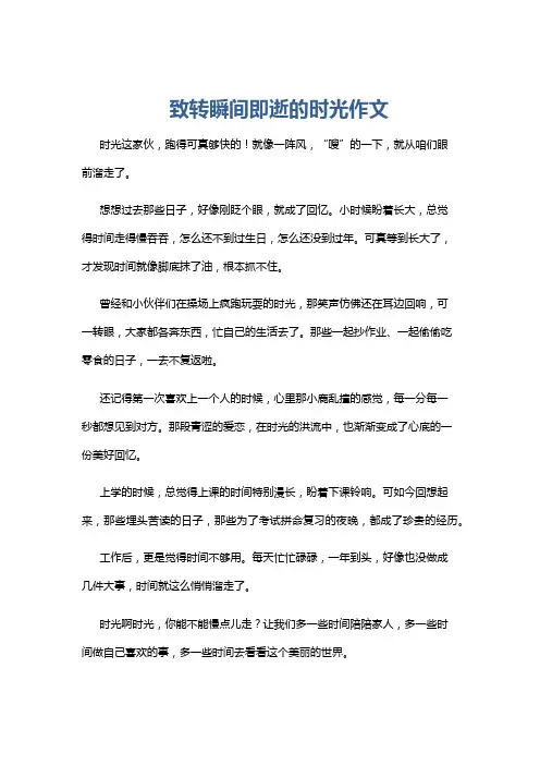 致转瞬间即逝的时光作文