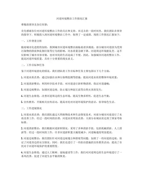 河道坏境整治工作情况汇报