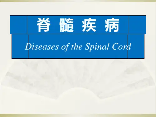 脊髓疾病(PPT)