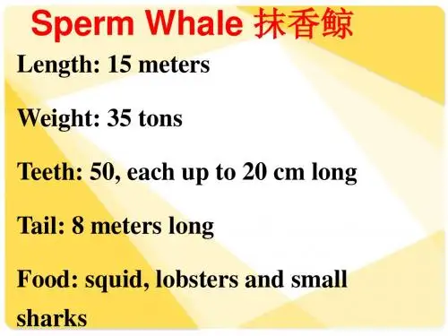 PEP六下Unit 4 A Let's read