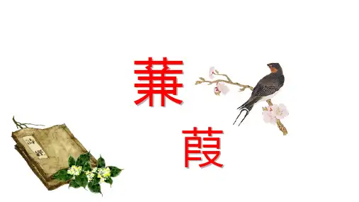 [初中+语文]第12课《蒹葭》课件+统编版语文八年级下册