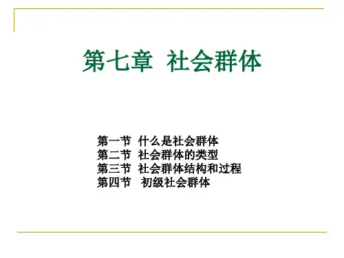 社会学 第七章社会群体PPT课件