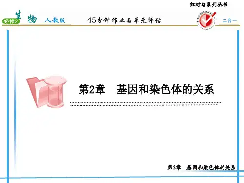 2-2基因在染色体上