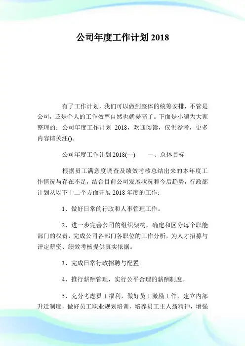 公司年度工作计划2018.doc