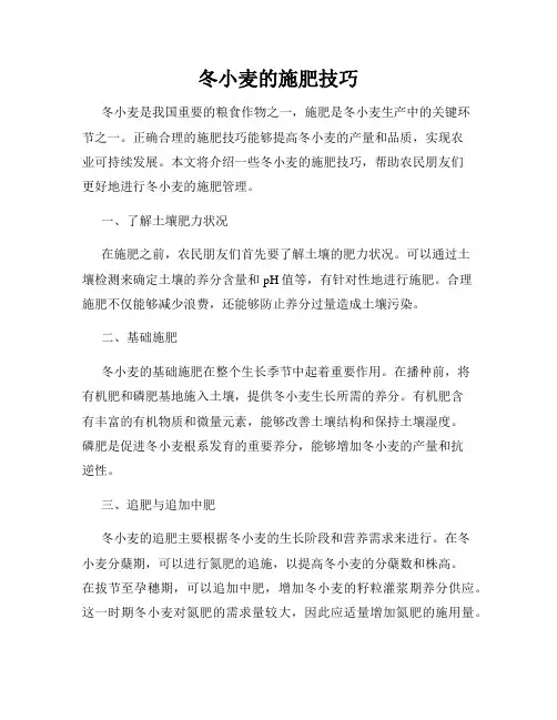 冬小麦的施肥技巧