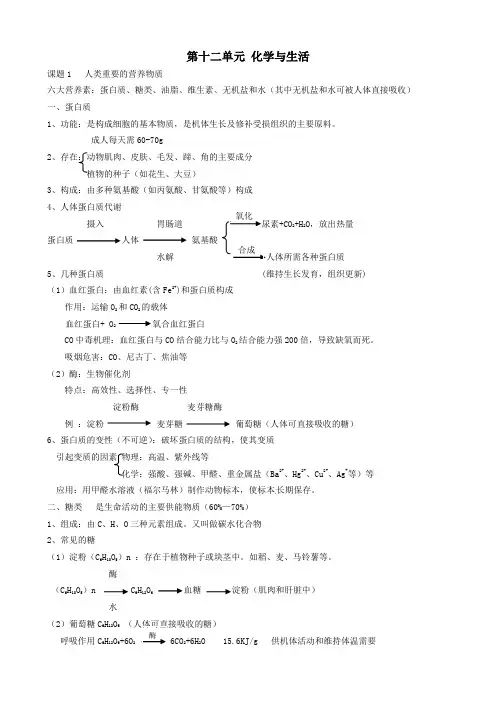 中考化学知识点总复习九年级第十二单元化学与生活新人教版