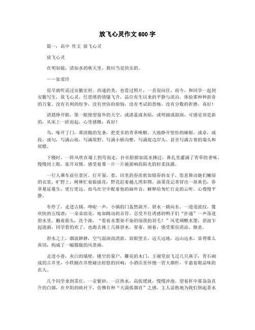 放飞心灵作文600字